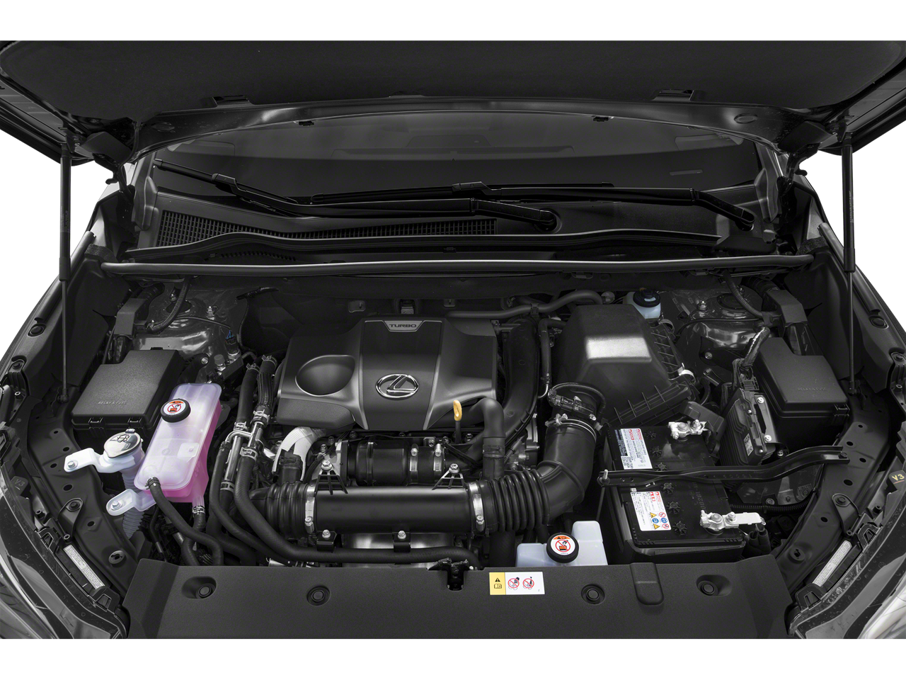 2019 Lexus NX 300 Base 300 Base