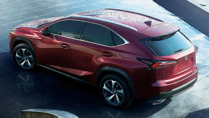 2021 Lexus NX in Greenwich, CT