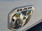 2021 RAM 1500 Big Horn/Lone Star SPORT APPEARANCE PACKAGE