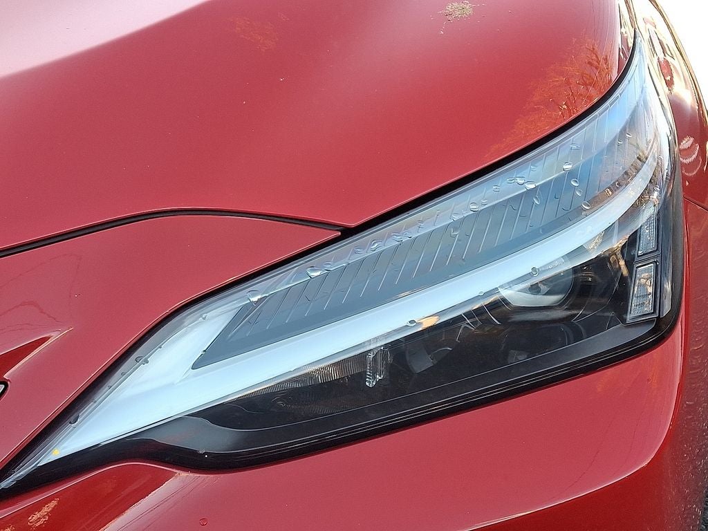 2023 Lexus NX 250 Base 250 Base