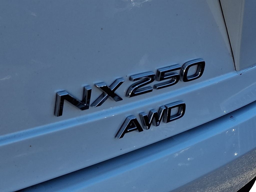 2024 Lexus NX 250 Base 250 Base