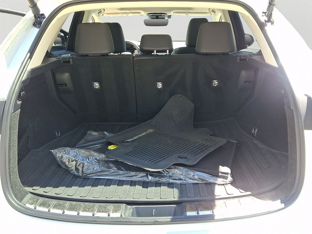 2022 Lexus NX 350 Base 350 Base COLD AREA PACKAGE