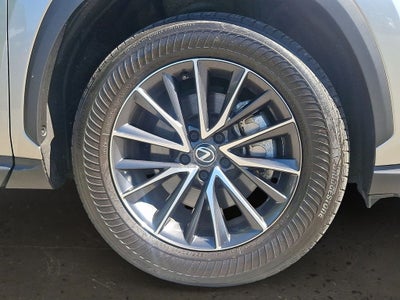 2024 Lexus NX 350 Base 350 Base COLD AREA PACKAGE