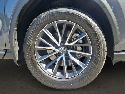 2024 Lexus NX 350 Base 350 Base COLD AREA PACKAGE