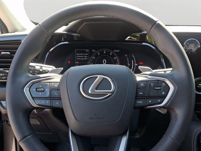 2024 Lexus NX 350 Base 350 Base COLD AREA PACKAGE