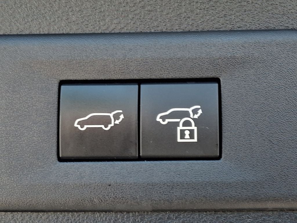 2024 Lexus NX 350 Base 350 Base COLD AREA PACKAGE