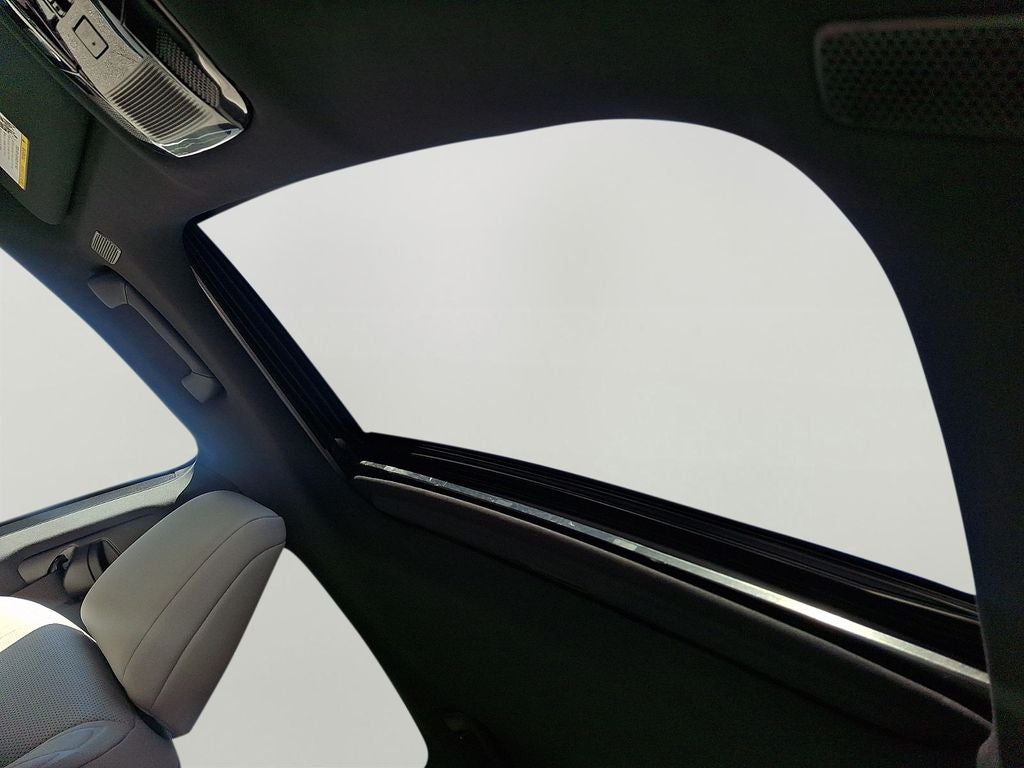 2024 Lexus RX 350 Premium 350 Premium COLD AREA PACKAGE