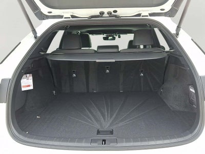 2024 Lexus RX 350 Premium 350 Premium COLD AREA PACKAGE