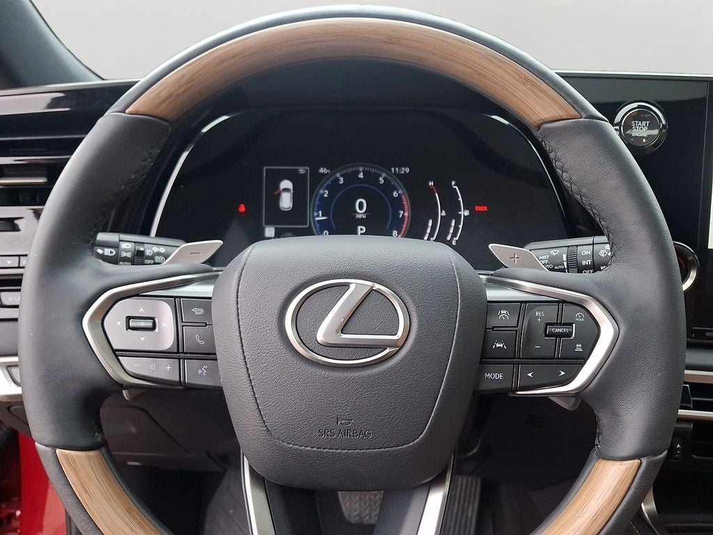 2024 Lexus RX 350 Premium 350 COLD AREA PACKAGE