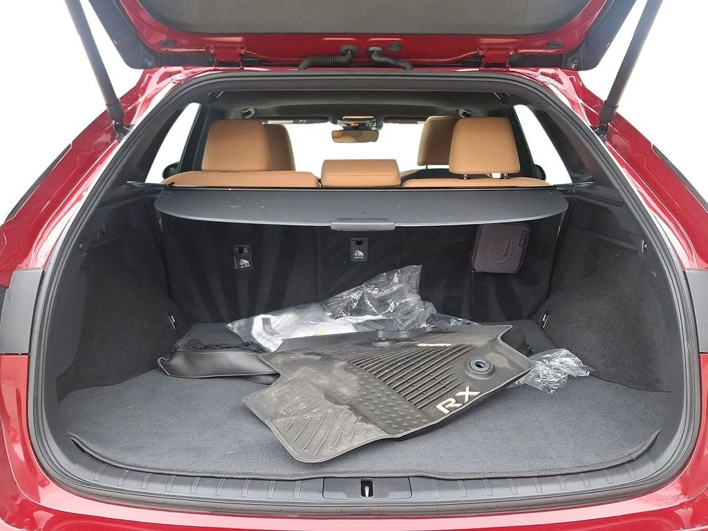 2024 Lexus RX 350 Premium 350 COLD AREA PACKAGE