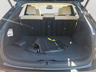 2024 Lexus RX 350 Premium 350 Premium COLD AREA PACKAGE