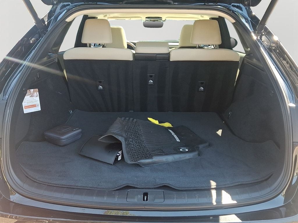 2024 Lexus RX 350 Premium 350 Premium COLD AREA PACKAGE