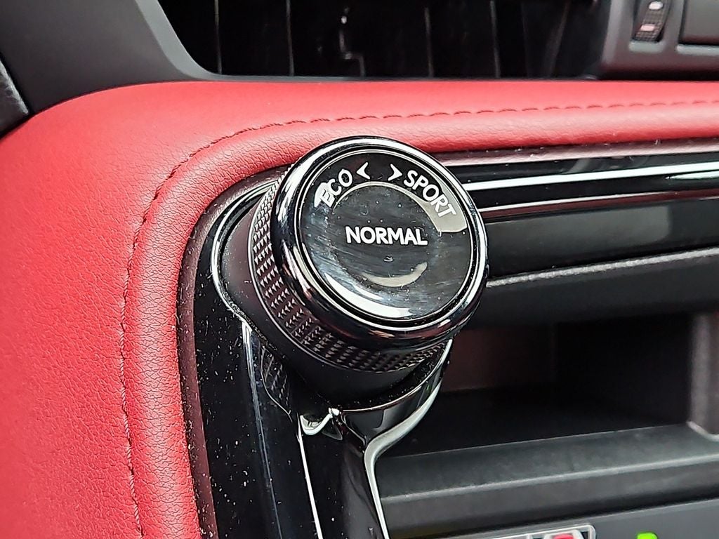 2024 Lexus NX 250 Premium 250 Premium COLD AREA PACKAGE, PREMIUM PACKAGE