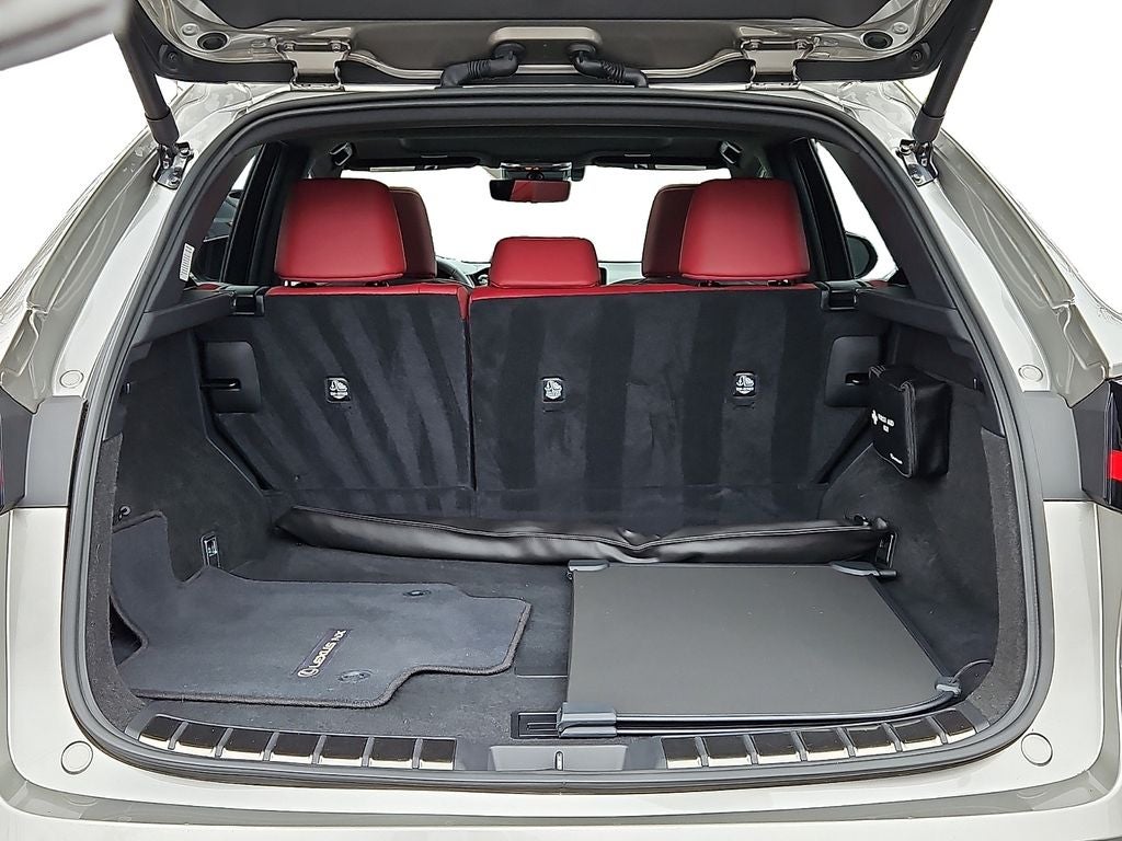 2024 Lexus NX 250 Premium 250 Premium COLD AREA PACKAGE, PREMIUM PACKAGE