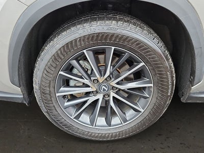 2024 Lexus NX 250 Premium 250 Premium COLD AREA PACKAGE, PREMIUM PACKAGE