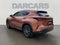 2025 Lexus NX 350 Premium 350 Premium COLD WEATHER PKG, PREMIUM PKG