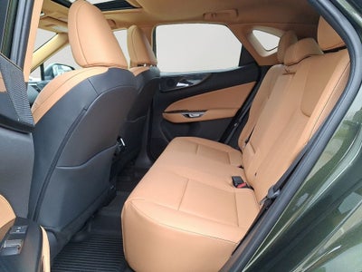 2023 Lexus NX 350 Premium 350 Premium COLD AREA PACKAGE