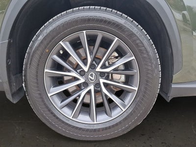 2023 Lexus NX 350 Premium 350 Premium COLD AREA PACKAGE