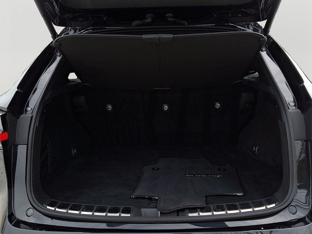 2023 Lexus NX 350 Premium 350 Premium COLD AREA PACKAGE