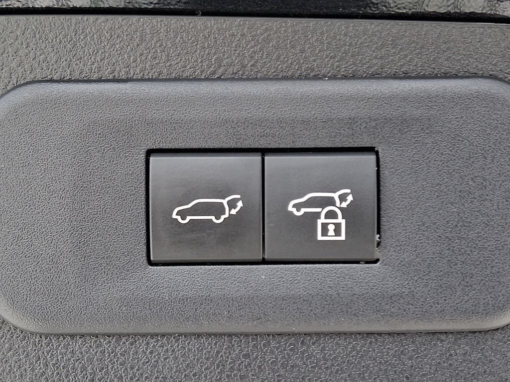 2023 Lexus NX 350 Premium 350 Premium COLD AREA PACKAGE