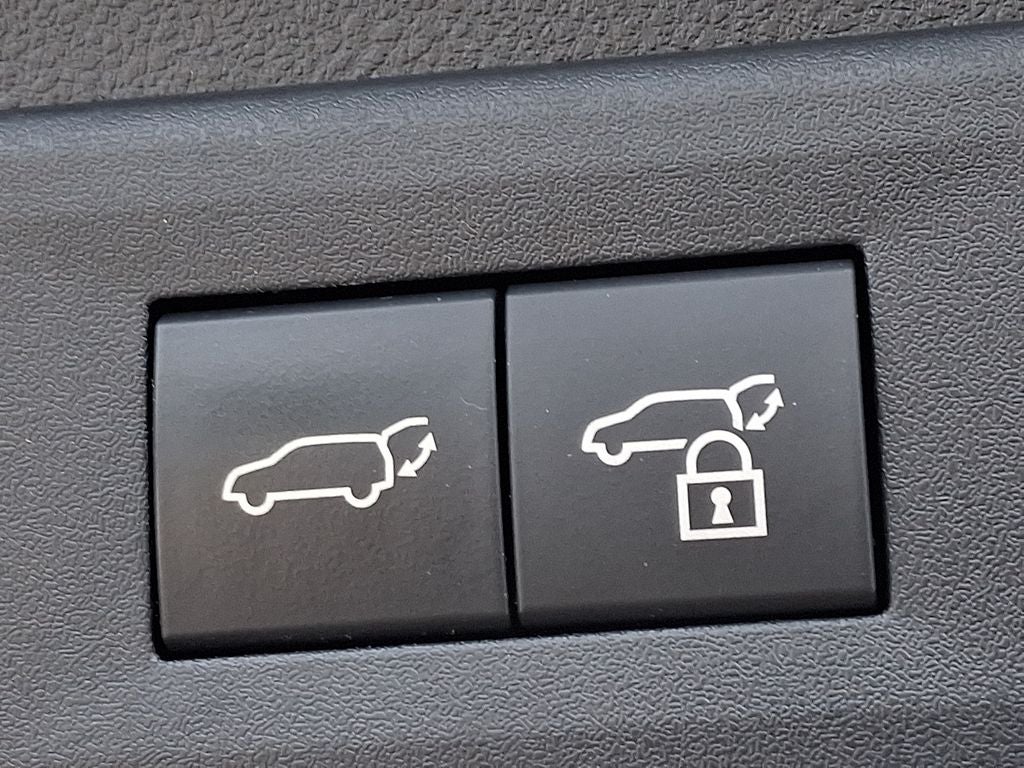 2022 Lexus NX 350h Premium 350h Premium COLD AREA PACKAGE