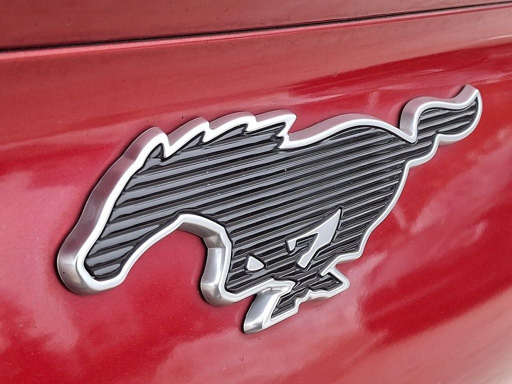 2022 Ford Mustang Mach-E Select