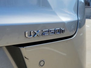 2021 Lexus UX 250h Base PREMIUM PKG