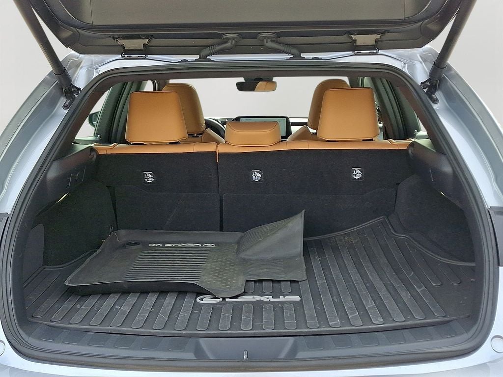 2025 Lexus UX 300h Premium 300h Premium COLD AREA PACKAGE