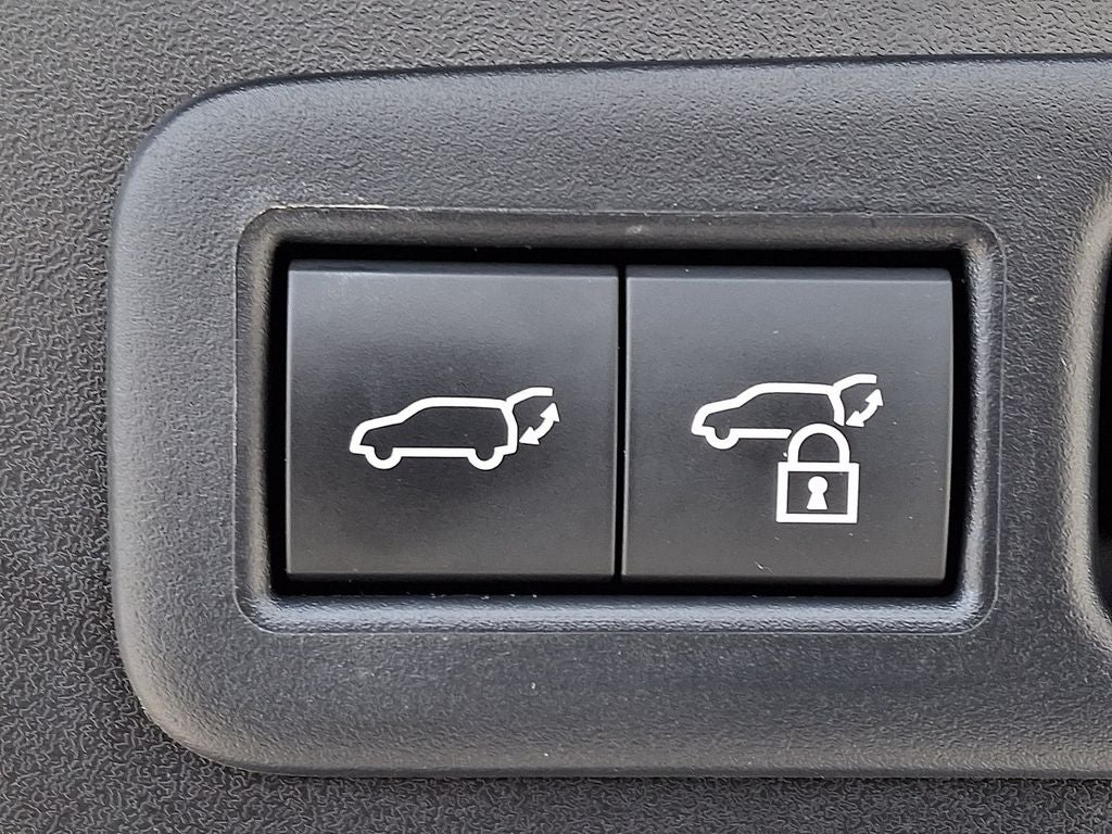 2025 Lexus UX 300h Premium 300h Premium COLD AREA PACKAGE