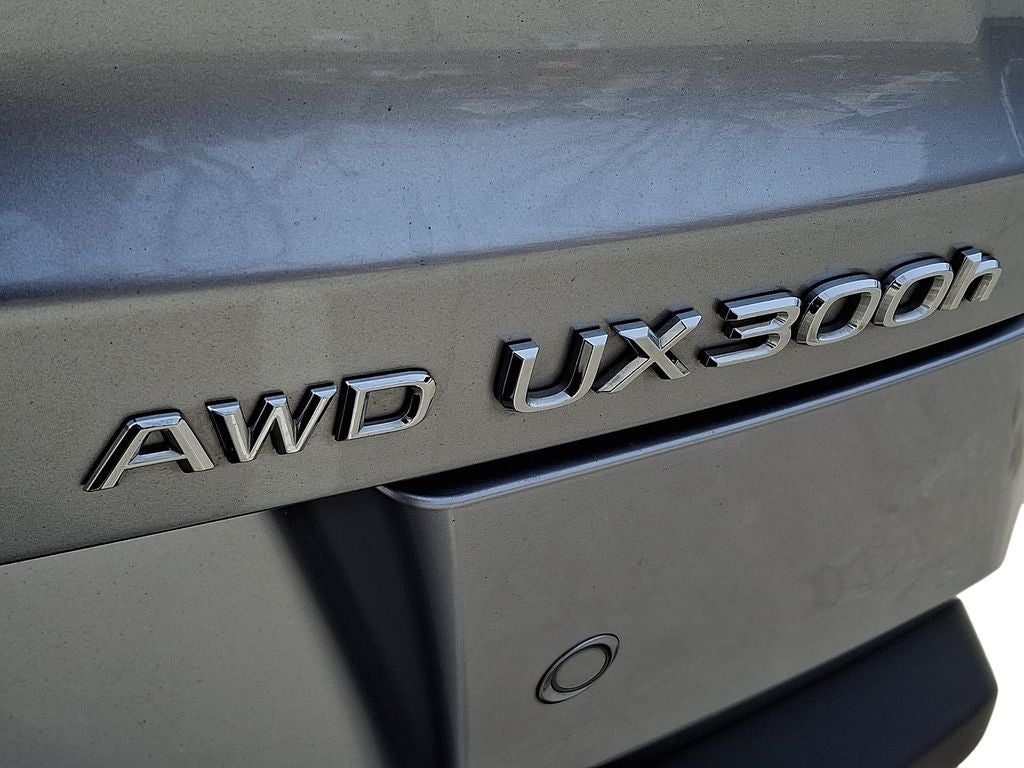 2025 Lexus UX 300h Premium 300h Premium COLD AREA PACKAGE