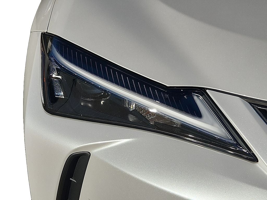 2025 Lexus UX 300h Premium 300h Premium COLD AREA PKG,