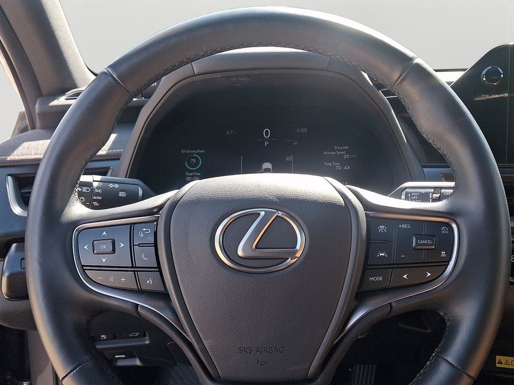 2025 Lexus UX 300h Premium 300h Premium