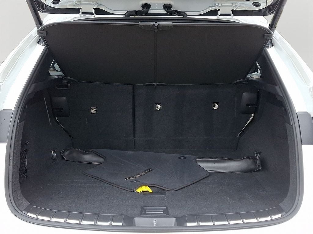 2024 Lexus NX 250 Base 250 Base