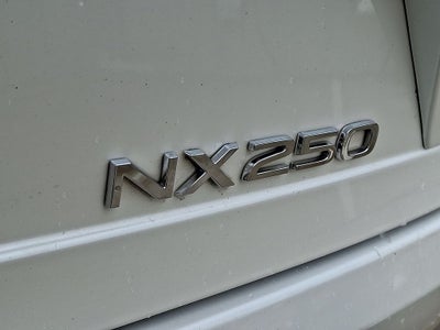 2024 Lexus NX 250 Base 250 Base