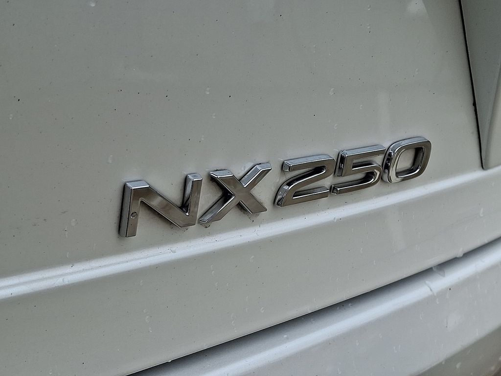 2024 Lexus NX 250 Base 250 Base