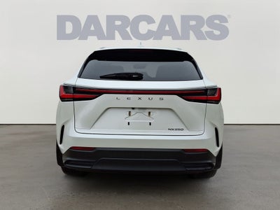2024 Lexus NX 250 Base 250 Base