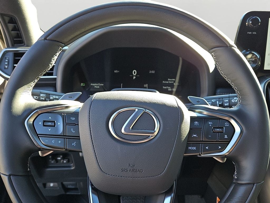 2025 Lexus LX LUXURY