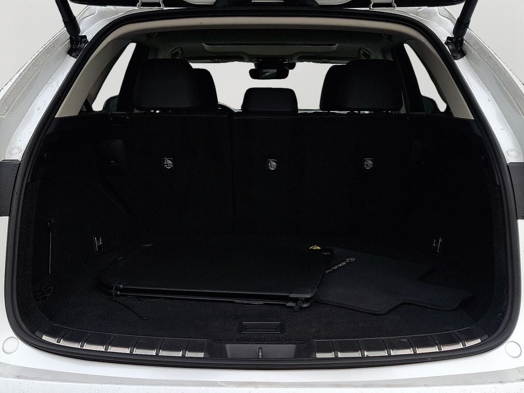 2024 Lexus NX 250 Premium 250 Premium