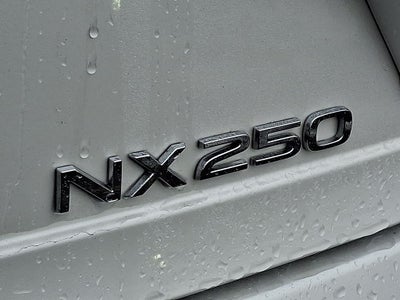 2024 Lexus NX 250 Premium 250 Premium