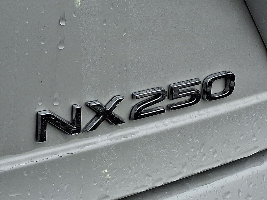 2024 Lexus NX 250 Premium 250 Premium